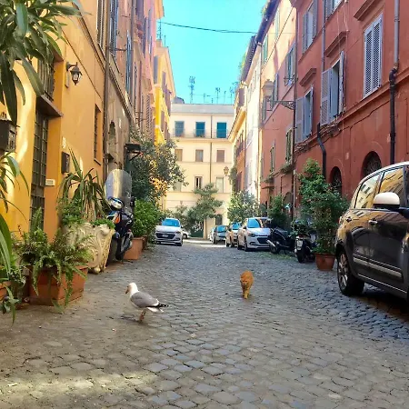 La Bonosa Rom